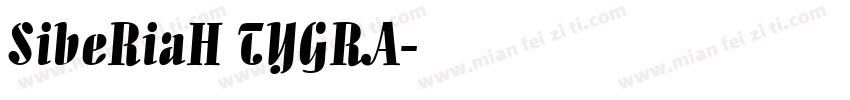 SibeRiaH TYGRA字体转换